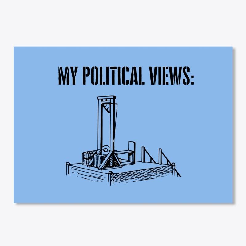 My Political Views